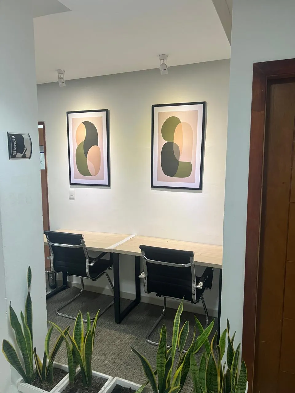 Plan Coworking 20 Horas